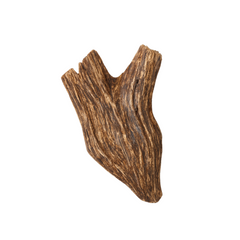 Collection image for: Oud