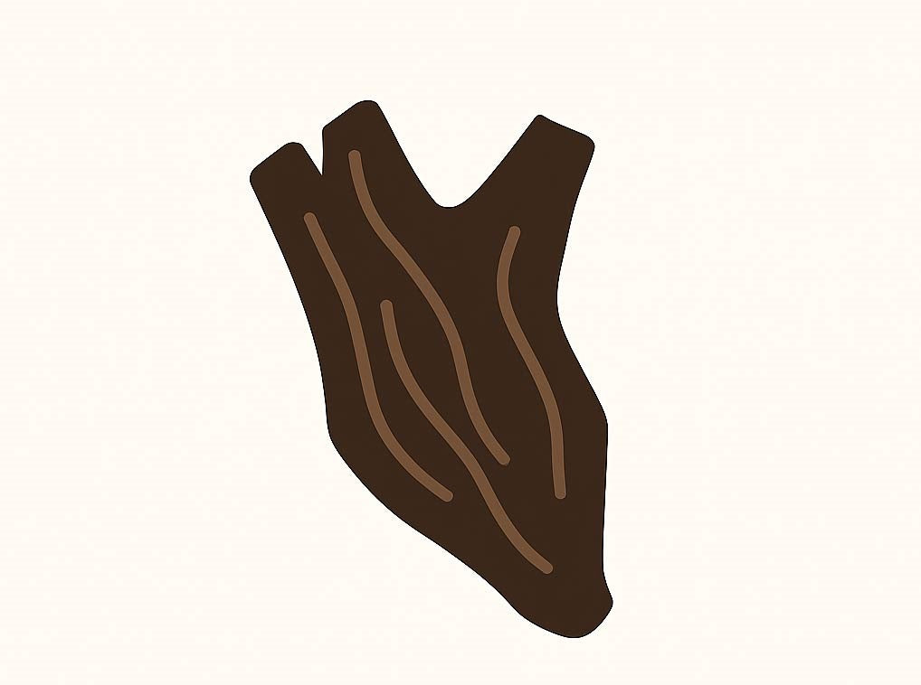 Oud
