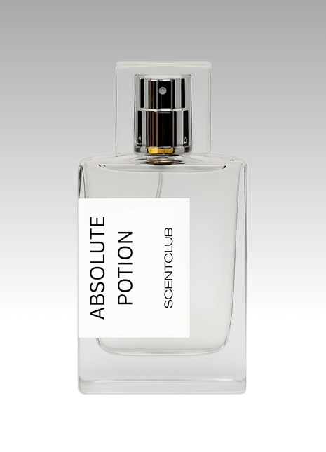 Delina Exclusif RRP £285 (Inspired) - Absolute Potion