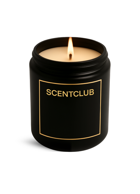 Ombre Leather Candle (Inspired) - Ombre Mist 250ml