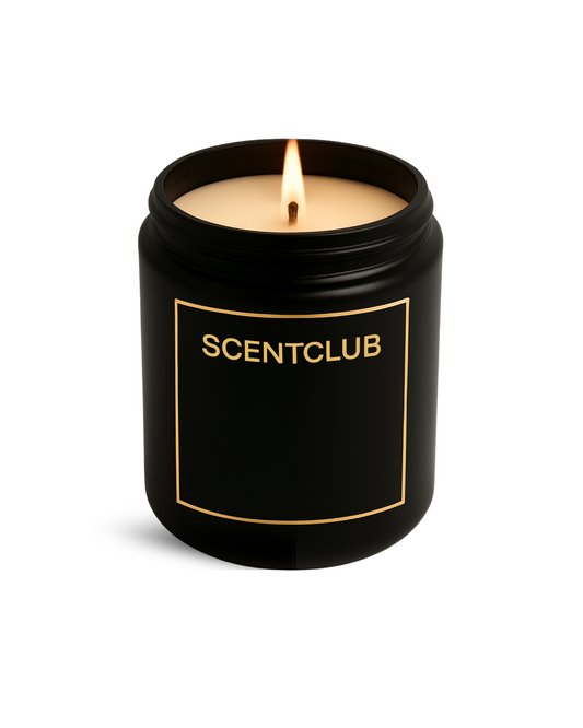 Ombre Leather Candle (Inspired) - Ombre Mist 250ml