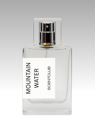 Silver Mountain Water RRP £265 (Inspired) - Mountain Water