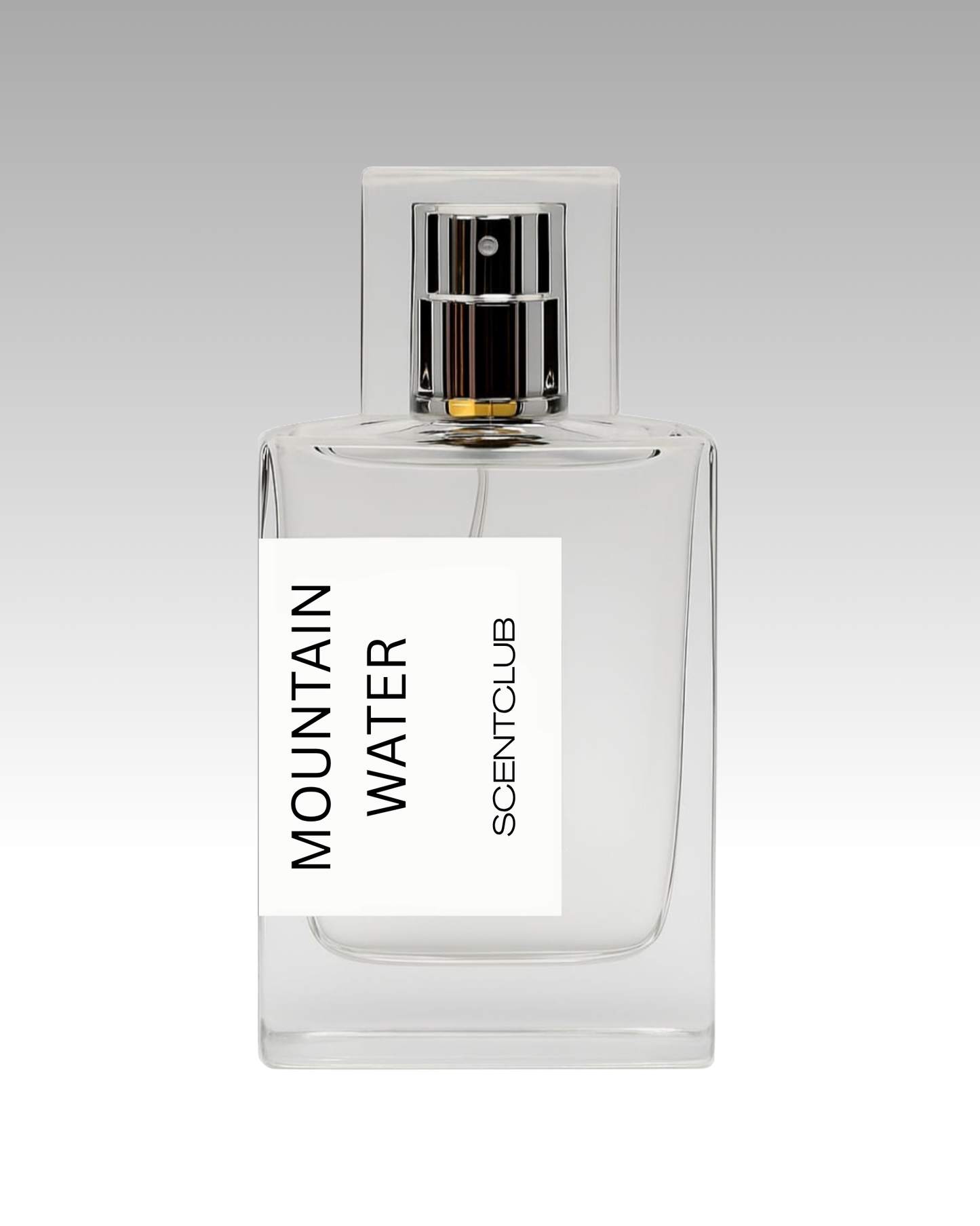 Silver Mountain Water RRP £265 (Inspired) - Mountain Water