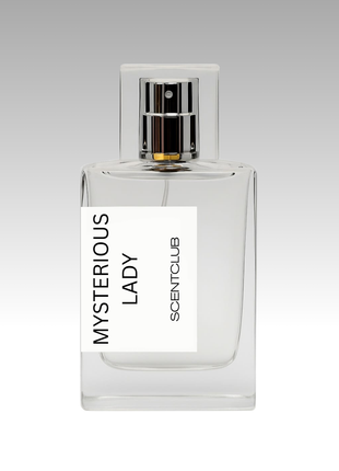 Portrait Of A Lady RRP £232 (Inspired) - Mysterious Lady