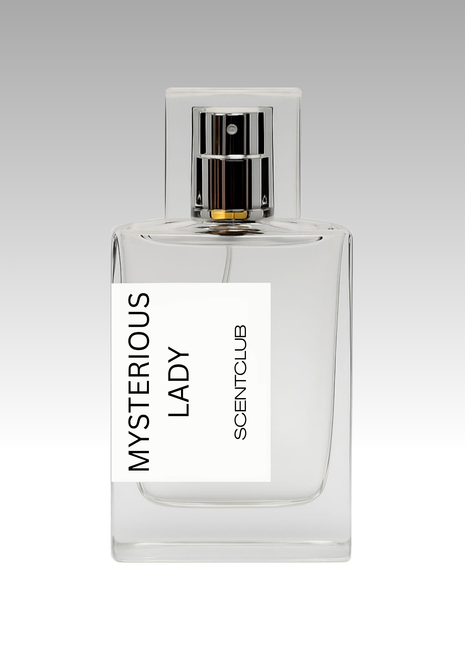 Portrait Of A Lady RRP £232 (Inspired) - Mysterious Lady