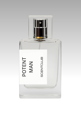 Homme Intense RRP £147 (Inspired) - Potent Man