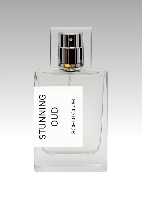 Oudmazing RRP £119 (Inspired) - Stunning Oud