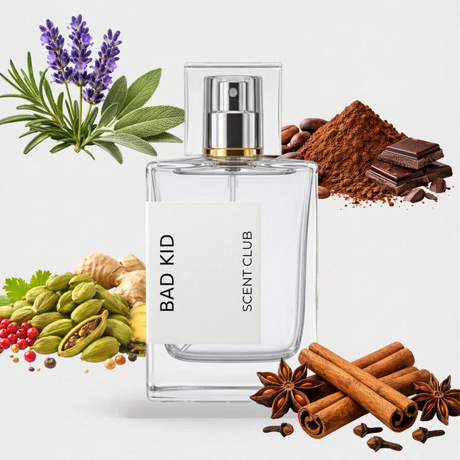 Bad Boy inspired by Bad Kid - Warm Spicy, Fresh Spicy, Cacao, Aromatic accord icons