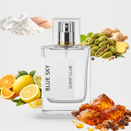 Dylan Blue Pour Homme inspired by Blue Sky - Amber, Citrus, Fresh Spicy, Musky accord icons