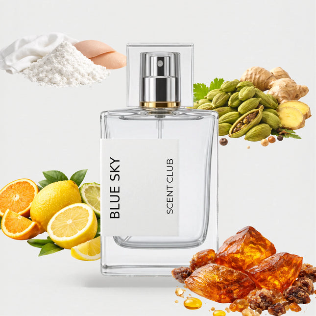 Dylan Blue Pour Homme inspired by Blue Sky - Amber, Citrus, Fresh Spicy, Musky accord icons
