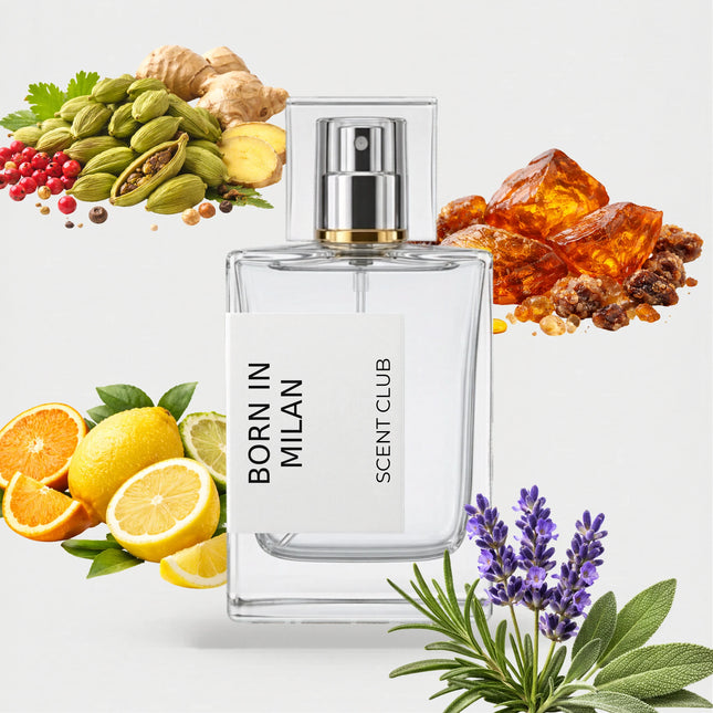 Born In Roma Uomo For Him inspired by Born in Milan - Aromatic, Citrus, Herbal, Amber accord icons