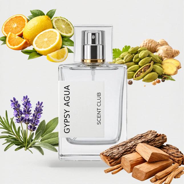 Gypsy Water inspired by Gypsy Agua - Woody, Aromatic, Fresh Spicy, Citrus accord icons