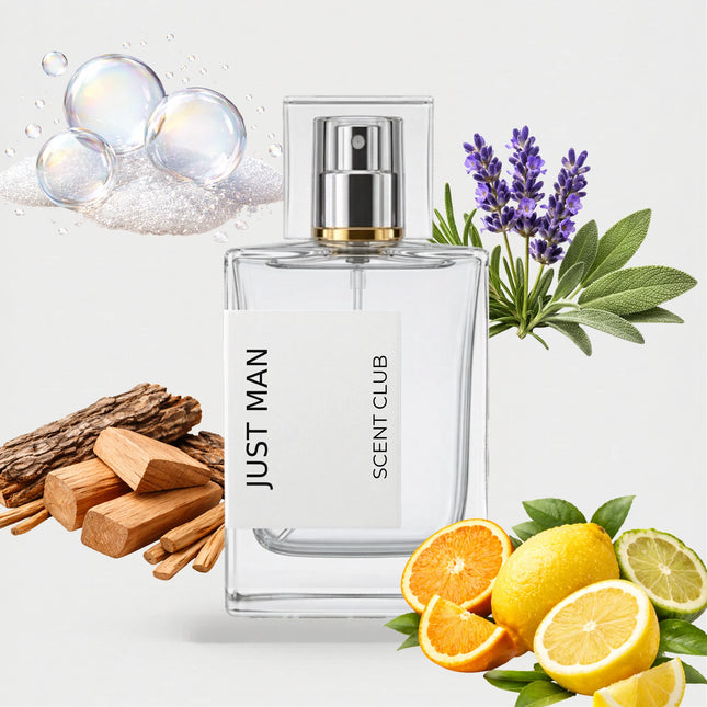 L'Homme inspired by Just Man - Citrus, Woody, Aromatic, Aldehydic accord icons