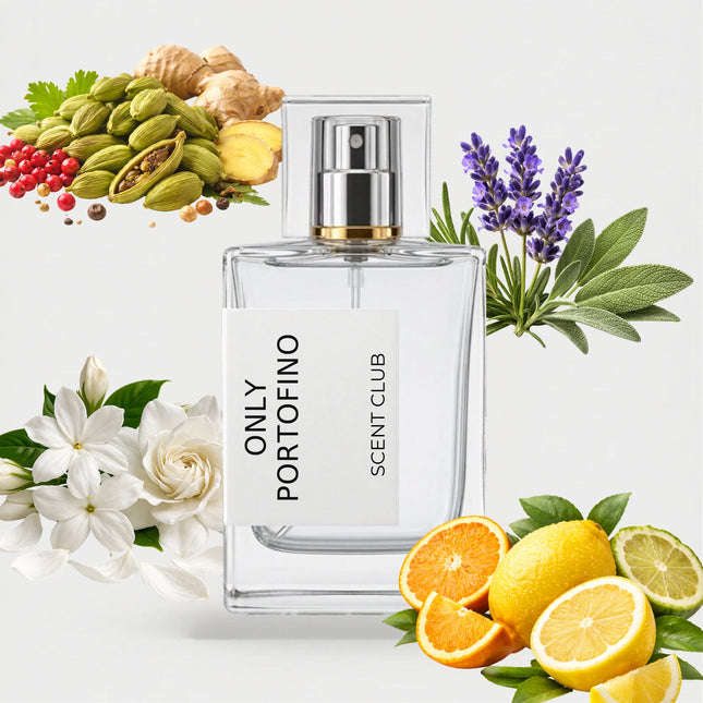 Neroli Portofino inspired by Only Portofino - Citrus, White Floral, Aromatic, Fresh Spicy accord icons