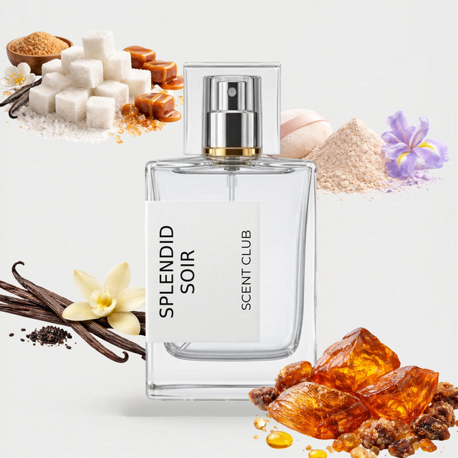 Grand Soir inspired by Splendid Soir - Amber, Vanilla, Powdery, Sweet accord icons