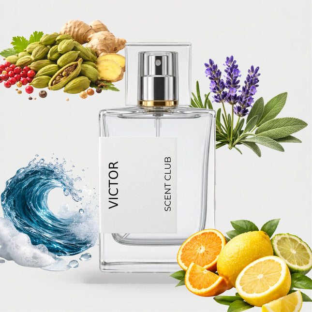 Invictus inspired by Victor - Citrus, Marine, Aromatic, Fresh Spicy accord icons