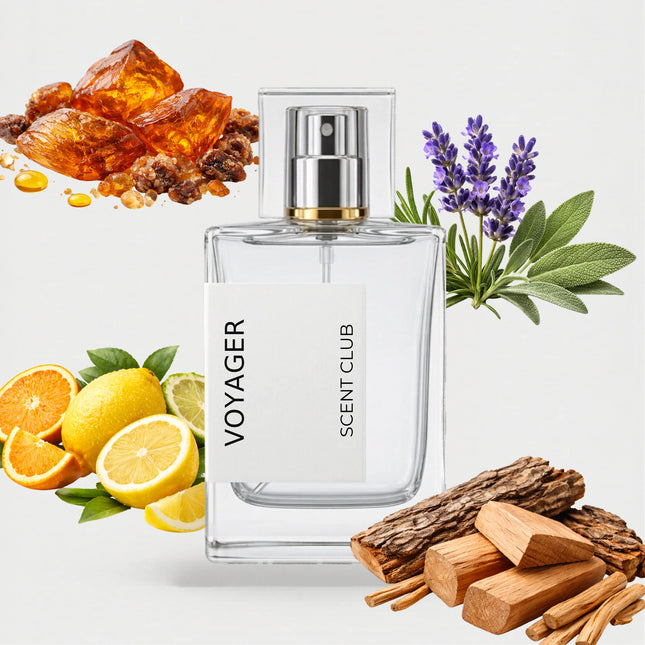 Explorer inspired by Voyager - Woody, Citrus, Aromatic, Amber accord icons